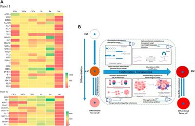 Resetting the epigenome: Methylation dynamics in cancer stem cells